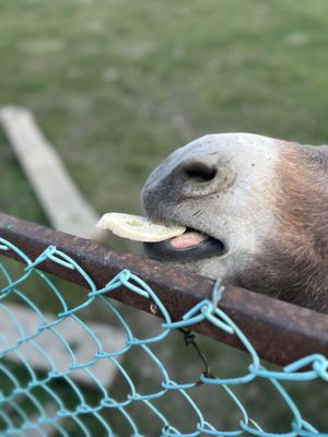 Ki's Steak & Seafood Restaurant by null