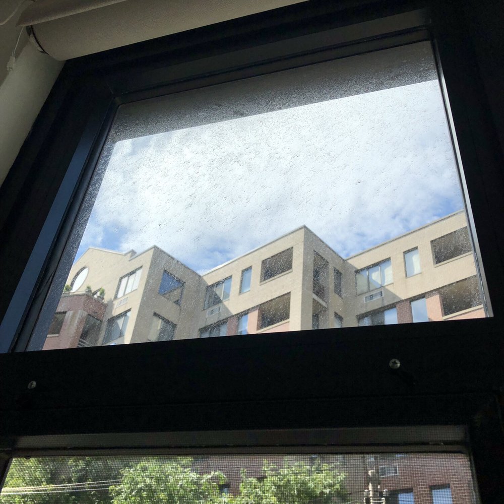 Moisha Window Cleaning - Window Washing Near Me - Brooklyn, New York