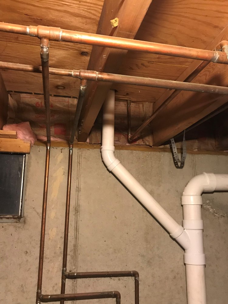 Slide of Butler's Rooter