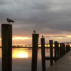Apalachicola Riverwood Suites - Sunrise over the river