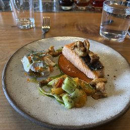 Salmon