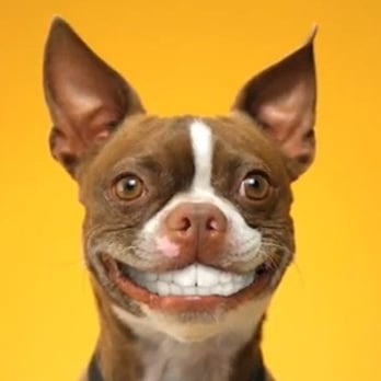 Schwartz Barry - Smiling is contagious! - General Dentistry Near Me - Prairie Village, Kansas Schwartz Barry - Smiling is contagious! - General Dentistry Near Me - Prairie Village, Kansas
