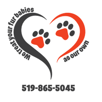 Zoom Zoom...Let's Groom! - Pet Groomers Near Me - Brantford, Ontario Zoom Zoom...Let's Groom! - Pet Groomers Near Me - Brantford, Ontario
