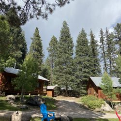 Lone Wolf Cabins