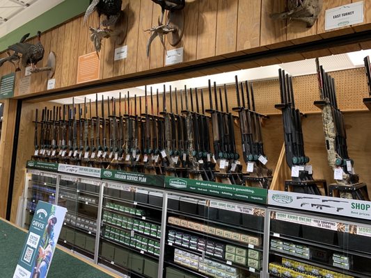 SPORTSMAN’S WAREHOUSE - Updated February 2026 - 71 Photos & 184 Reviews