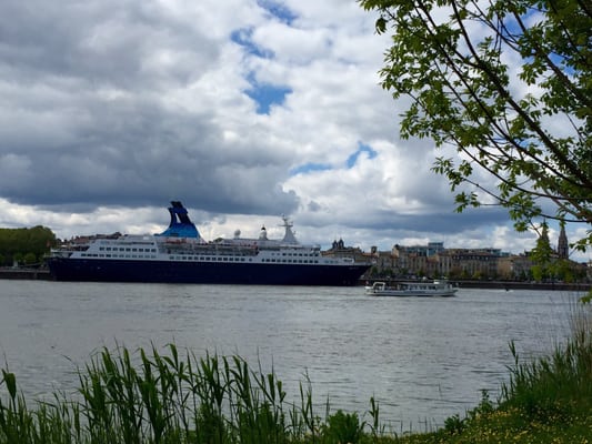Parc aux Angéliques by null
