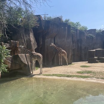 Milwaukee County Zoo - Zoos Near Me - Milwaukee, Wisconsin