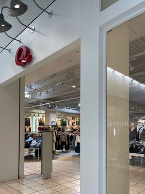 Q-store l.jpg