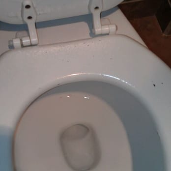Oceanview Inn At The Arch - Toilet peeling like crazy..blood on floor - Hotels Near Me - Long Beach, Washington