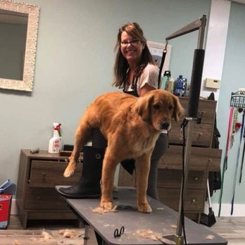 Oo La La Doggie Spa - Pet Groomers Near Me - Paw Paw, Michigan Oo La La Doggie Spa - Pet Groomers Near Me - Paw Paw, Michigan