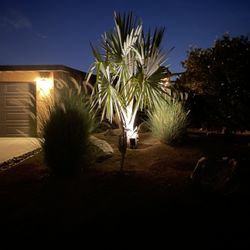 All Seasons Landscape