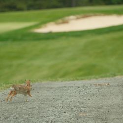 Olde Beau Golf Club