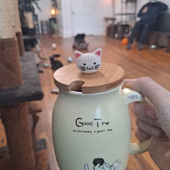 Luna Cafe - Covered cups for the cat room - Japanese Near Me - Syracuse, New York