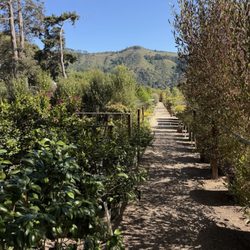 Valley Hills Nursery