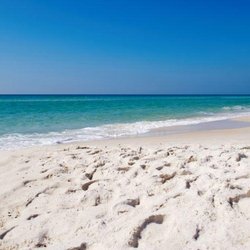 Venture Out Beach Rentals