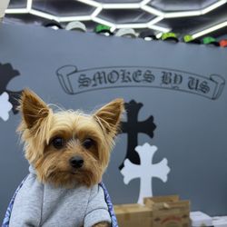 Smokes By Us
