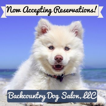Backcountry Dog Salon - Pet Groomers Near Me - Traverse City, Michigan Backcountry Dog Salon - Pet Groomers Near Me - Traverse City, Michigan