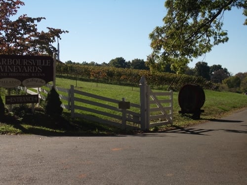 Barboursville Vineyards by null
