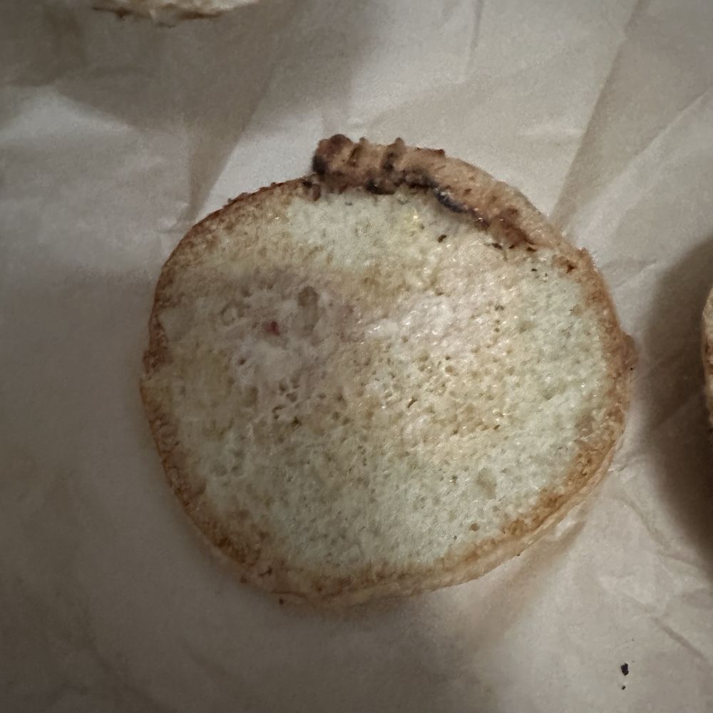 Einstein Bros. Bagels - Bagels Near Me - Sarasota, Florida