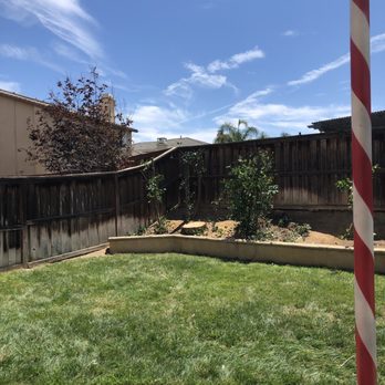 Elite Tree Care - After!!! - Tree Services Near Me Elite Tree Care - After!!! - Tree Services Near Me