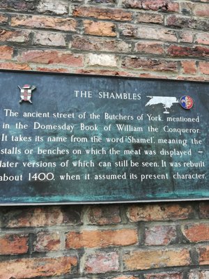 Shambles by null