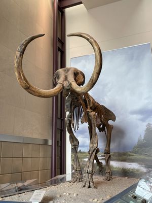 Milwaukee Public Museum by null