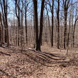 Butler Sanctuary - Typical trail view