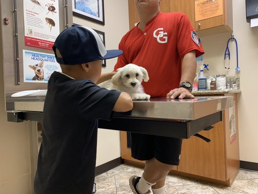 call magnolia animal hospital