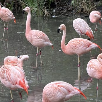Brevard Zoo - Zoos Near Me - Melbourne, Florida Brevard Zoo - Zoos Near Me - Melbourne, Florida