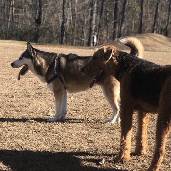 Weddington Road Dog Park - Dog Parks Near Me - Concord, North Carolina Weddington Road Dog Park - Dog Parks Near Me - Concord, North Carolina