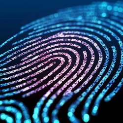Northeast Fingerprinting