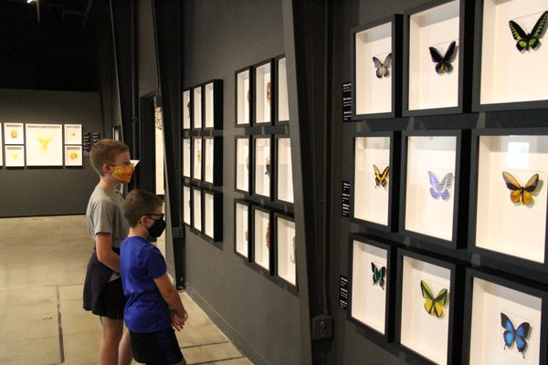 Discovery Center of Idaho by null