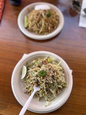Burmese Delight by null