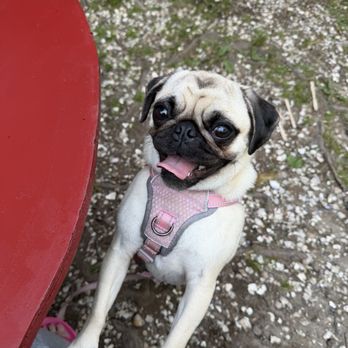 The Place - Pug Kelce wanting - Seafood Near Me - Guilford, Connecticut The Place - Pug Kelce wanting - Seafood Near Me - Guilford, Connecticut