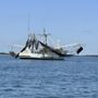 Cumberland Island National Seashore