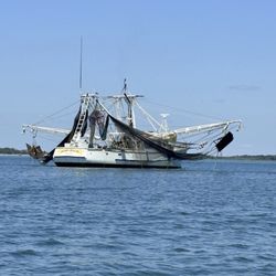 Cumberland Island National Seashore