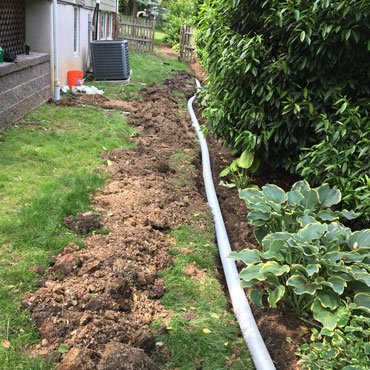 Slide of Snake Master