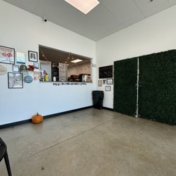 Mojo Coffee - Counter