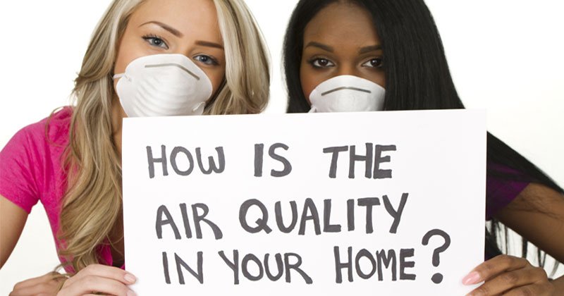 Green Home Pros - mold inspector in Chatsworth, CA