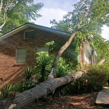 Cowboy Tree Care - Tree Services Near Me Cowboy Tree Care - Tree Services Near Me