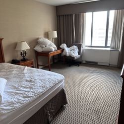 St Regis Hotel - Hotel room