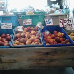Wagner Farms