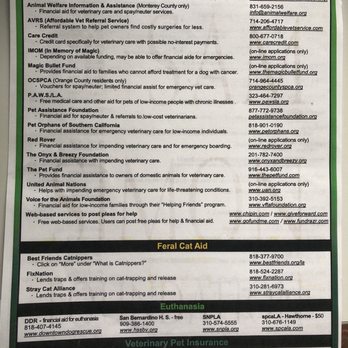 SPAY-4-LA - (Back) - Pet Services Near Me SPAY-4-LA - (Back) - Pet Services Near Me
