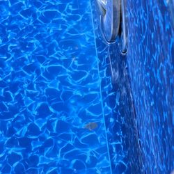 Pool Doctor - Shows the gap at the bottom of the light.