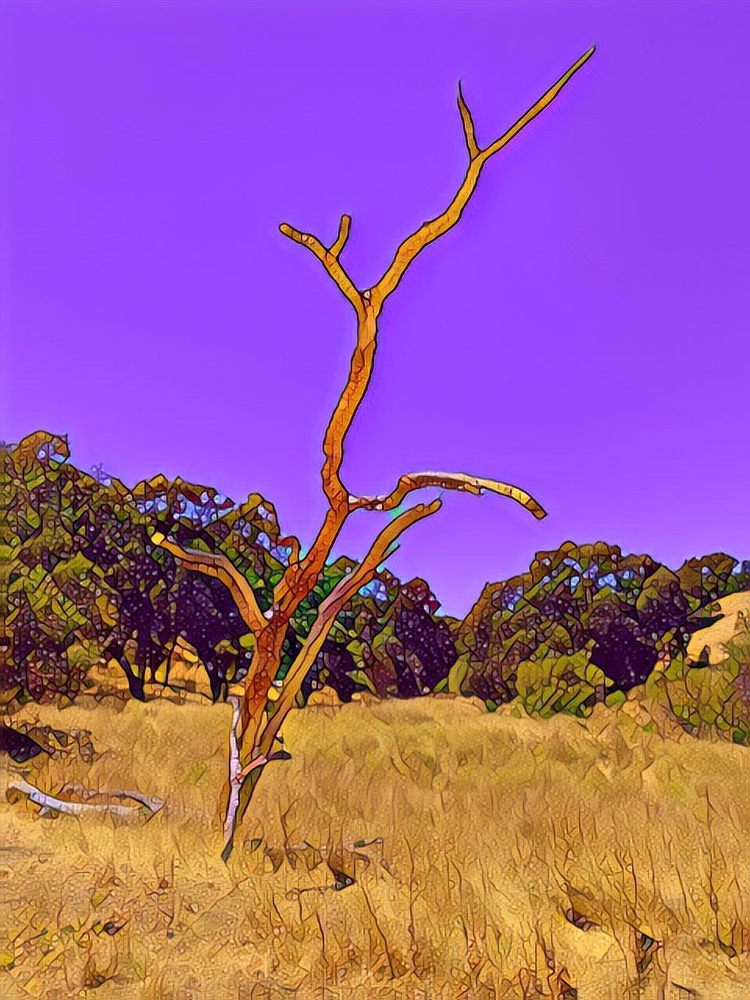 Bishop Ranch Regional Preserve Logo