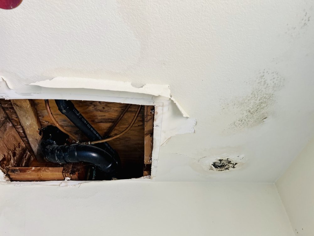 Murrieta Mold Inspections - mold inspector in Murrieta, CA