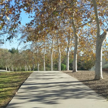 Ted Craig Regional Park - Today was pretty and lively to be here. Weather and it being a weekday made it perfect - Parks Near Me - Fullerton, California Ted Craig Regional Park - Today was pretty and lively to be here. Weather and it being a weekday made it perfect - Parks Near Me - Fullerton, California