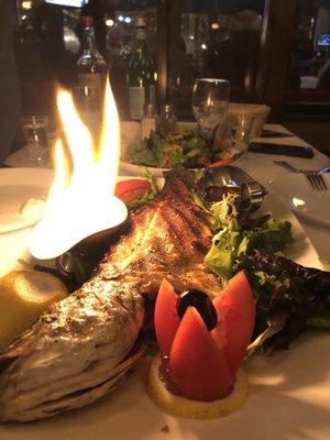 Black Sea Fish & Grill by null