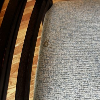 RealJoy Vacations - Stain on dinning chair - Vacation Rentals Near Me - Destin, Florida