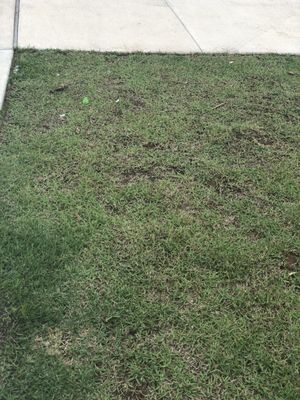 clark realty converse